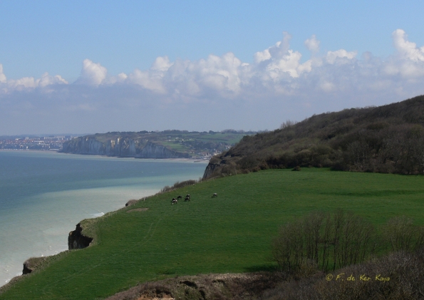 Falaise Varengeville (2)